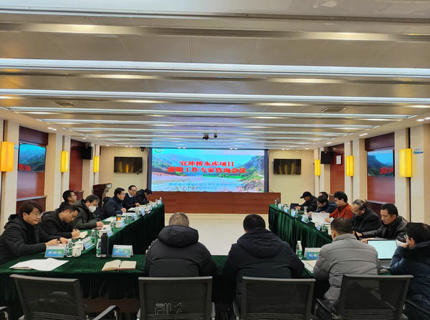 公司召開宜沖橋水庫項目前期工作專家咨詢會議