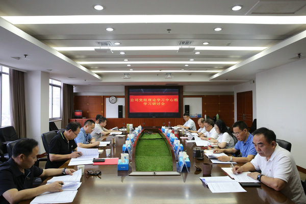 澧水公司黨組理論學(xué)習(xí)中心組開(kāi)展主題教育第四次集中學(xué)習(xí)研討