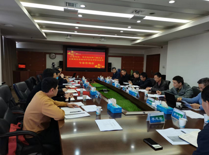 公司組織召開電站設備運行安全專家技術咨詢會議