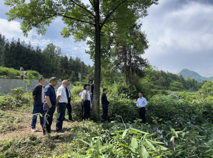 徐磊帶隊調研桑植縣蘆溪村鄉村振興工作
