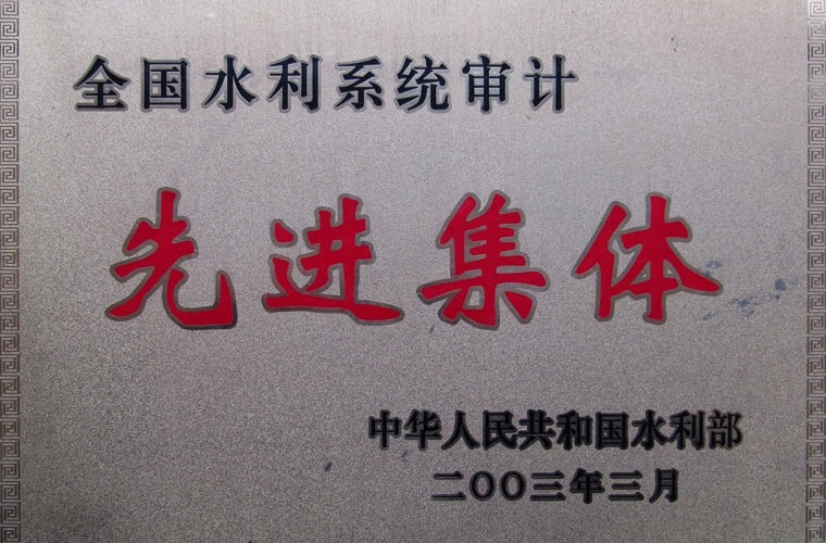 全國水利系統(tǒng)審計(jì)先進(jìn)集體