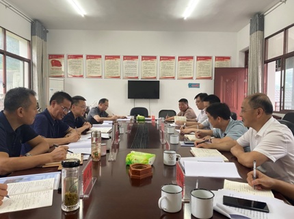 徐磊調(diào)研石門大興場(chǎng)村共繪鄉(xiāng)村振興新藍(lán)圖