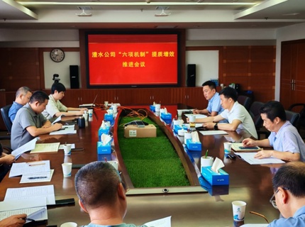 公司召開“六項機制”提質(zhì)增效推進工作會議